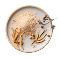 Cordyceps