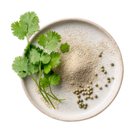 Coriander
