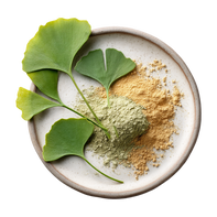 Ginkgo