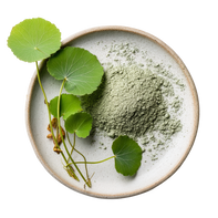 Gotu Kola