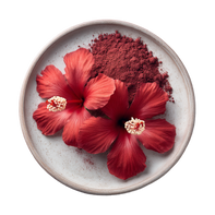 Hibiscus