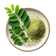 Moringa