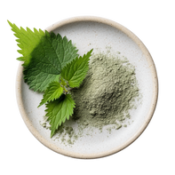 Nettle Leaf