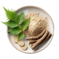 Nettle Root