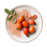 Rosehip