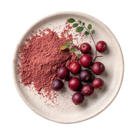 Schisandra