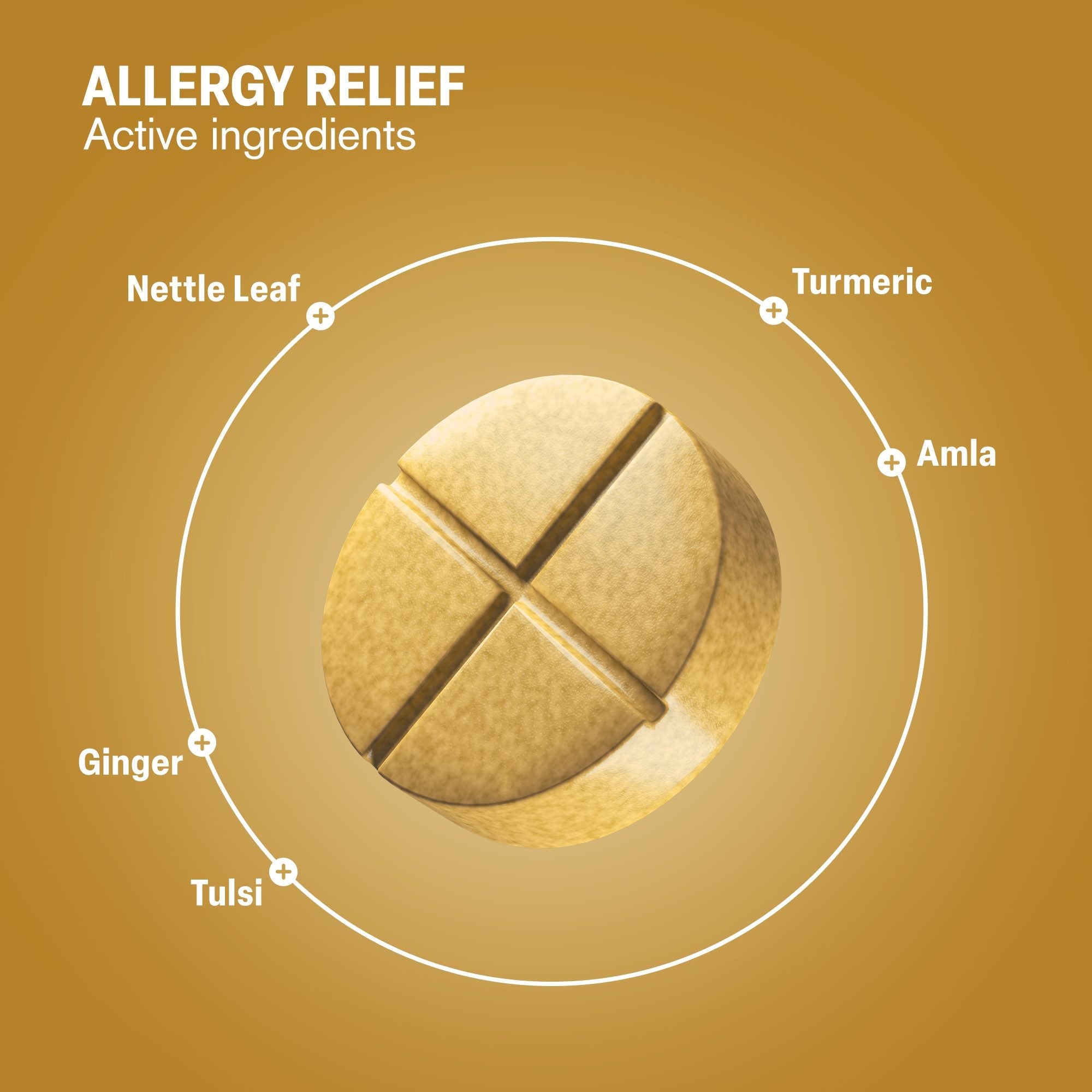 Allergy Relief Herbal Blend Tablets - hellotabs