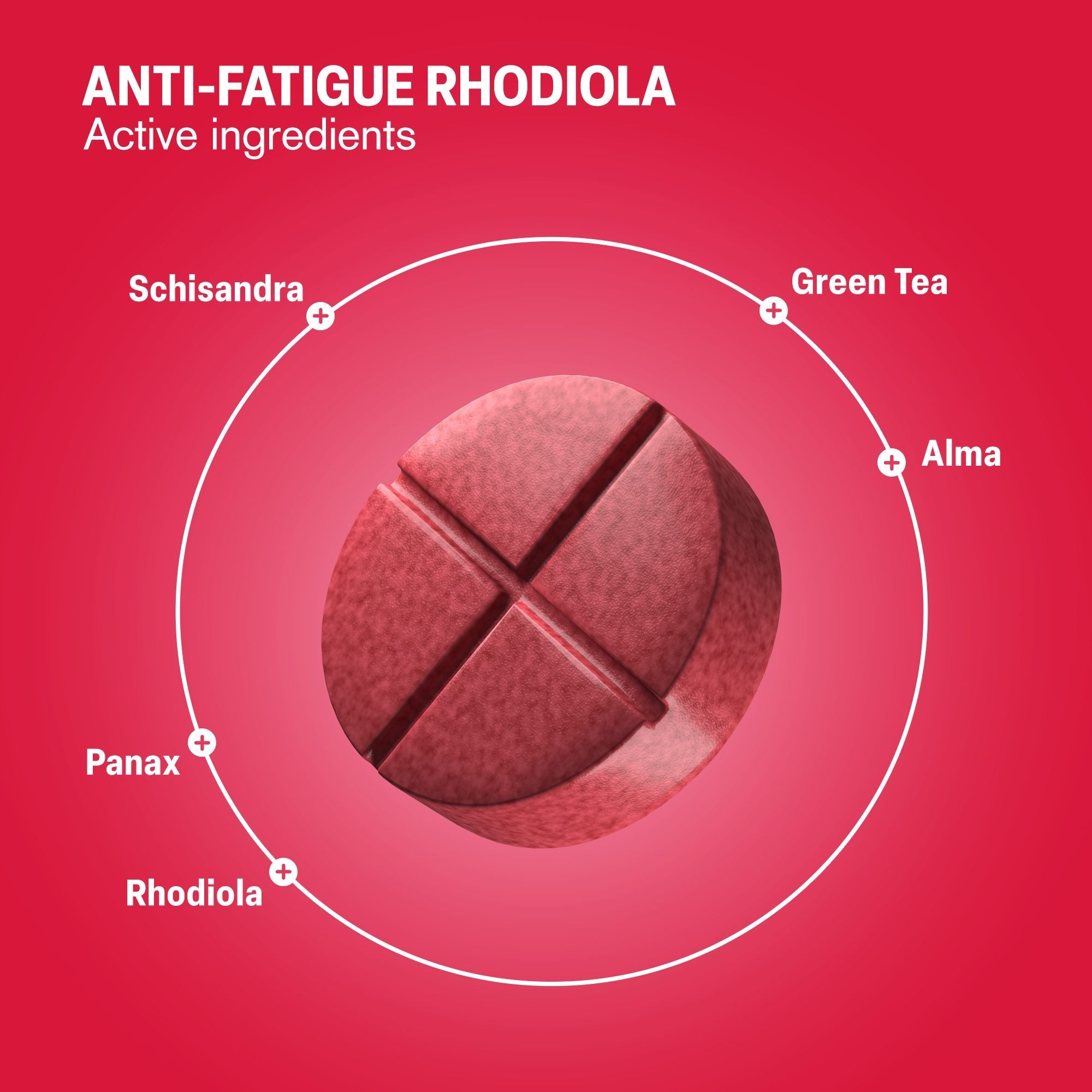 Anti - Fatigue Rhodiola Tablets - hellotabs