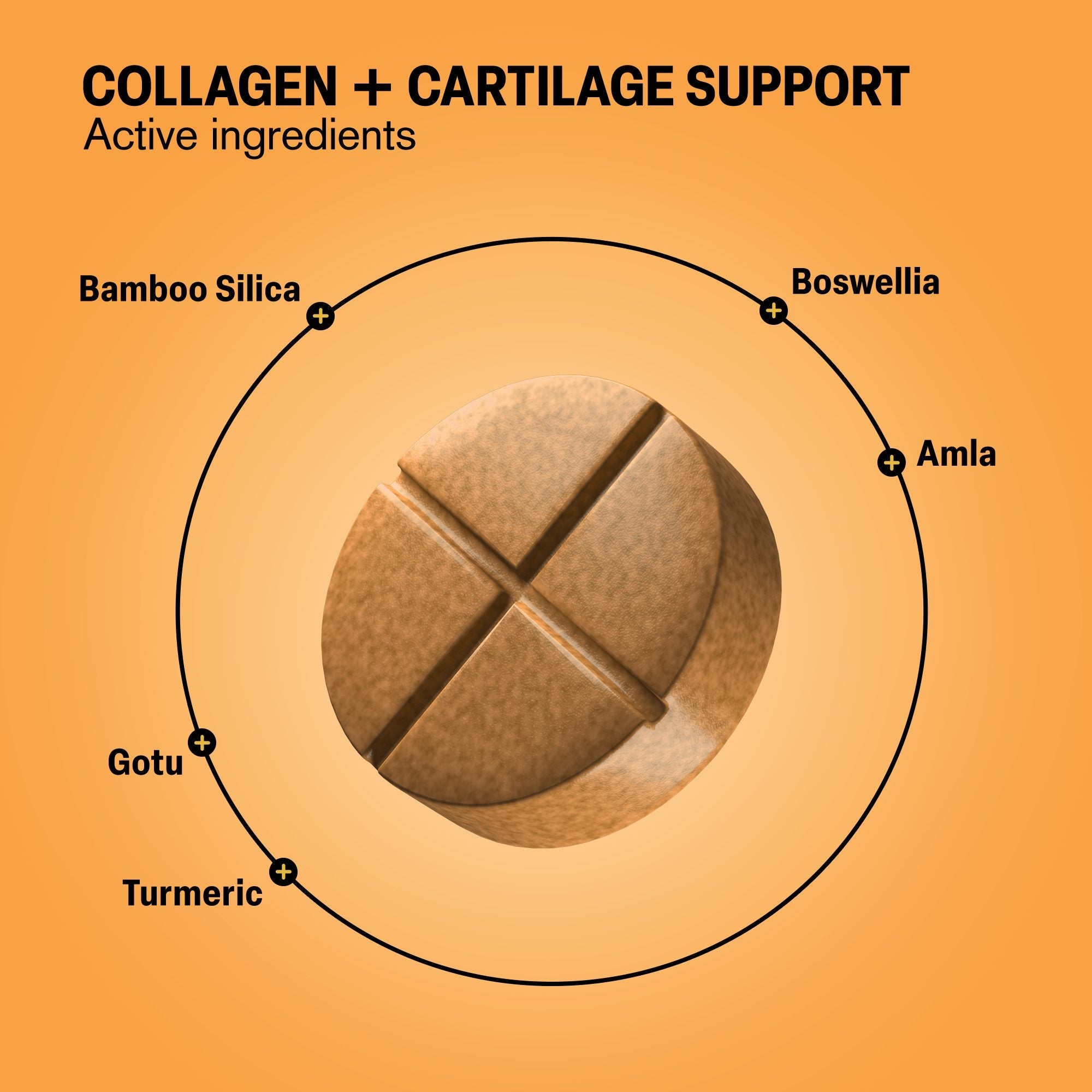 Cartilage + Collagen Support Tablets - hellotabs