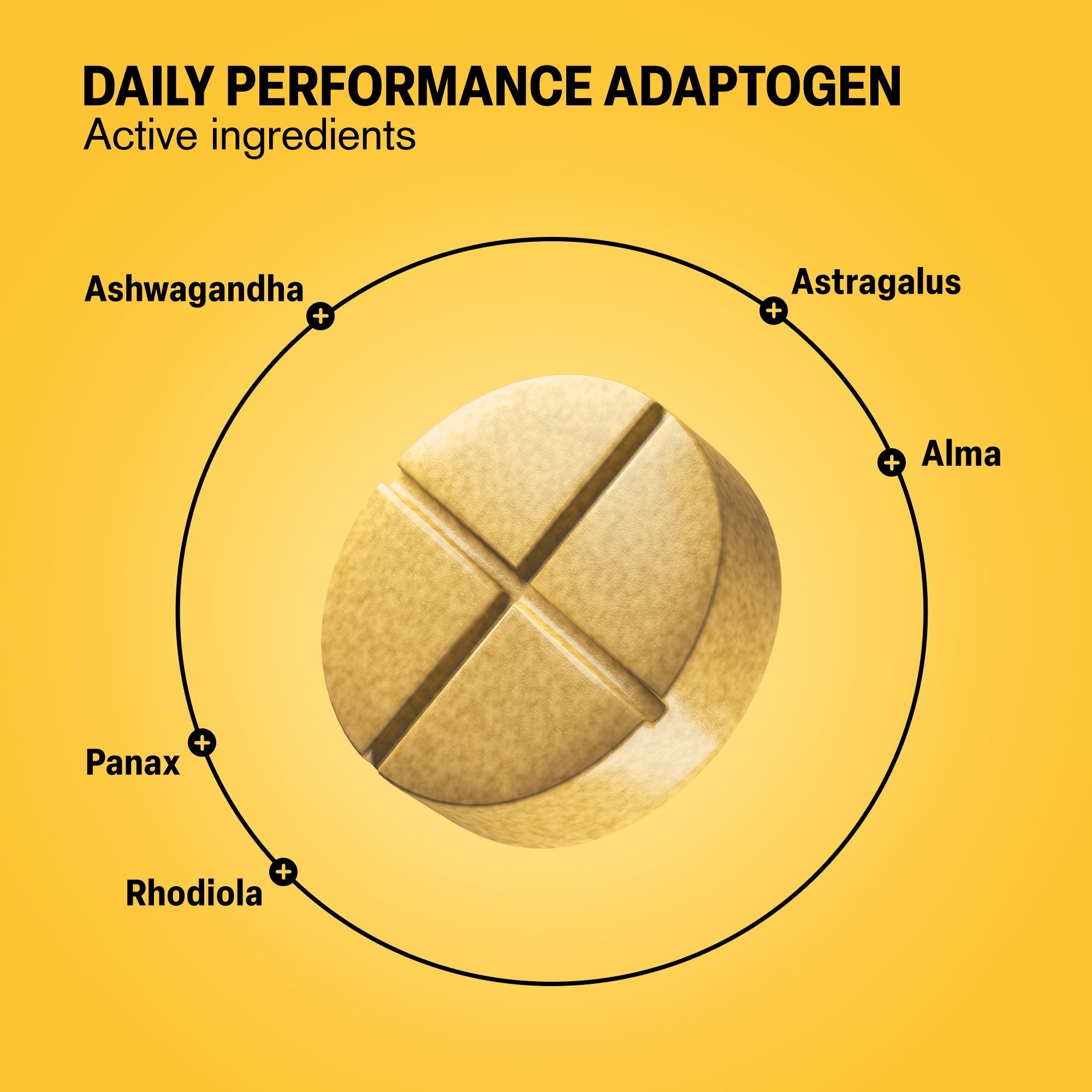 Daily Performance Adaptogen Tablets - hellotabs