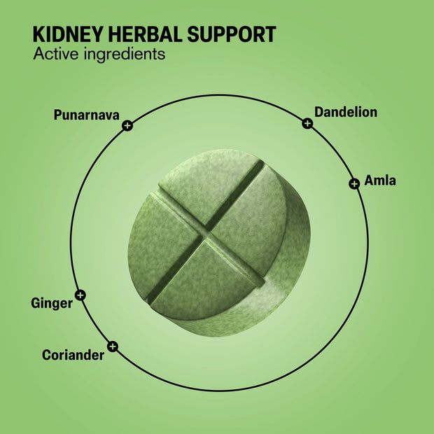 Kidney Herbal Support Tablets - hellotabs
