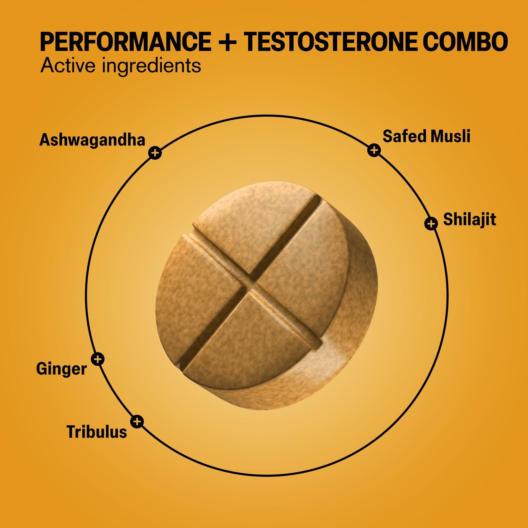 Performance + Testosterone Combo Tablets - hellotabs