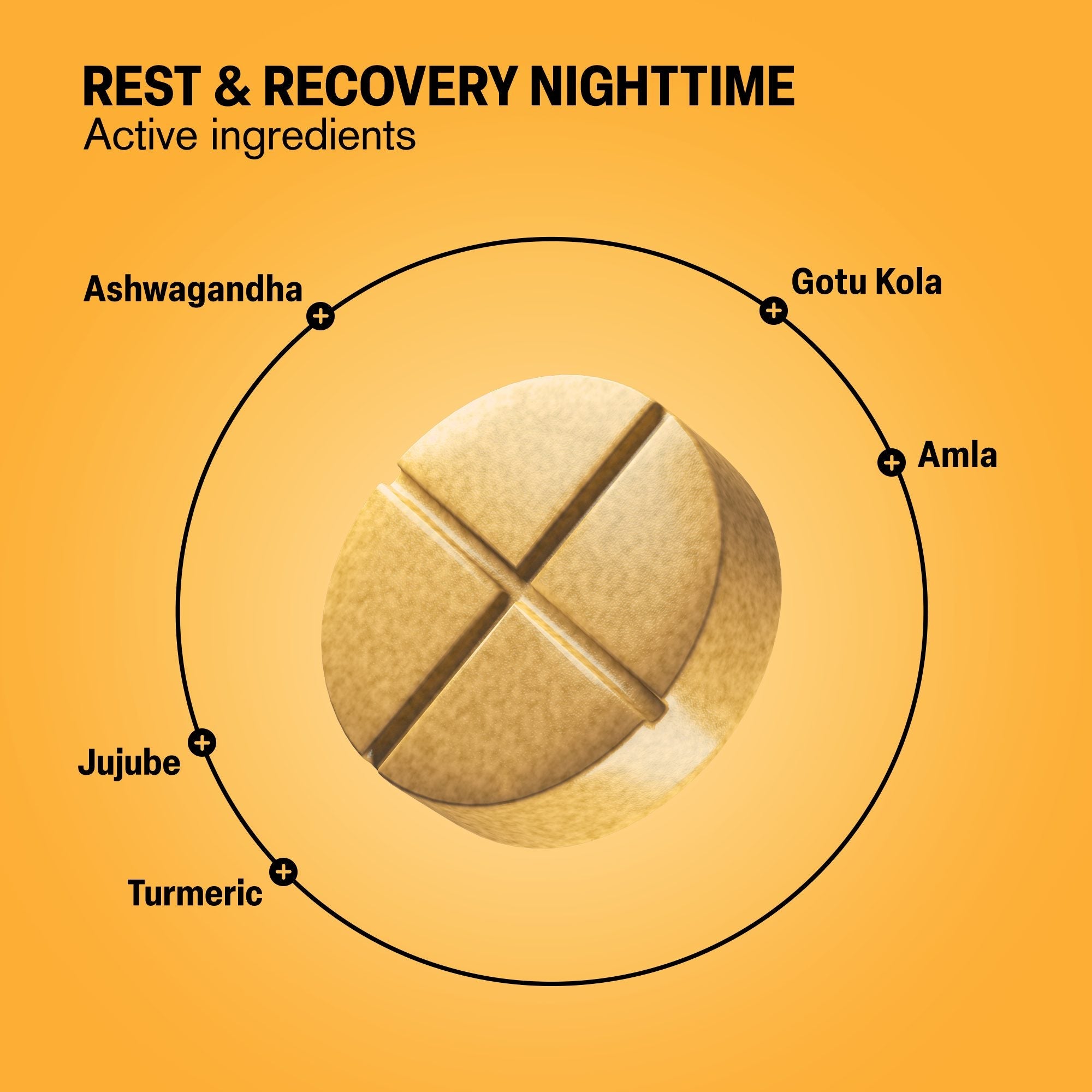 Rest & Recovery Nighttime Tablets - hellotabs