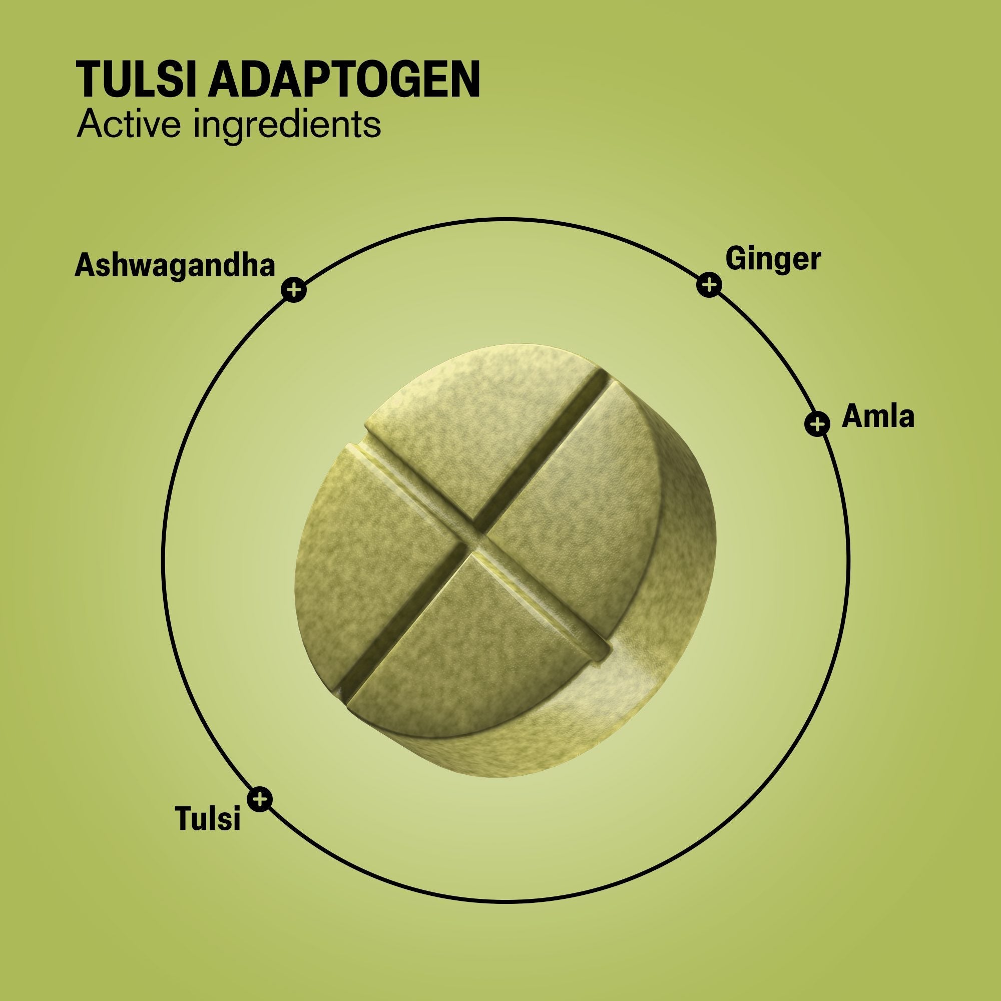Tulsi Immune Adaptogen Tablets - hellotabs